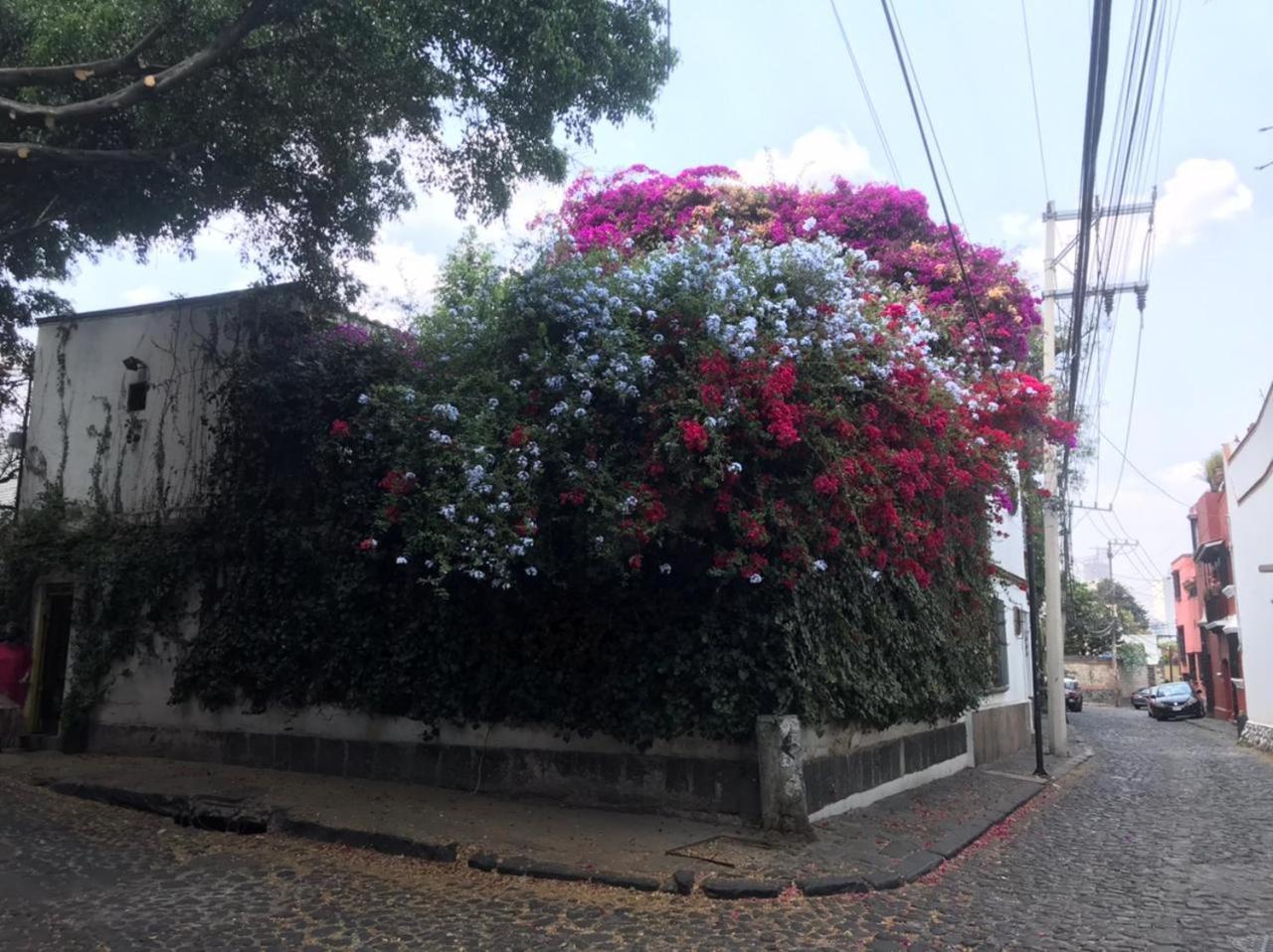 Cuarto Bano Sala San Angel Cerca De Itam Unam Bazar Sabado Privatunterkunft *