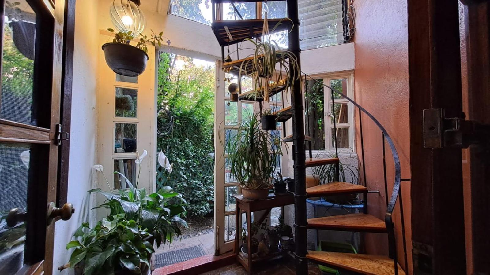 Cuarto Bano Sala San Angel Cerca De Itam Unam Bazar Sabado Privatunterkunft
