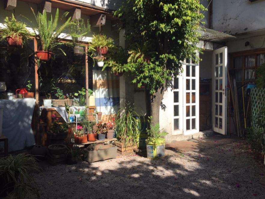 Cuarto Bano Sala San Angel Cerca De Itam Unam Bazar Sabado Privatunterkunft *